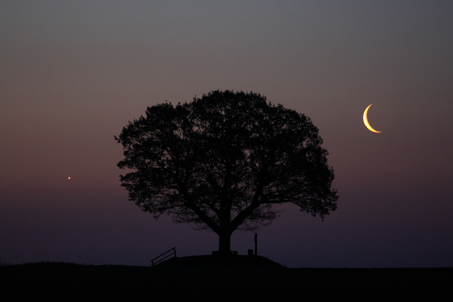 Venus und Mond an der Friedenseiche am 04.Mai 2009
